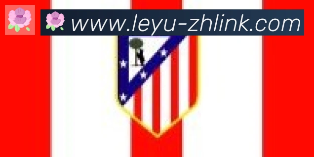 乐鱼leyu合作伙伴