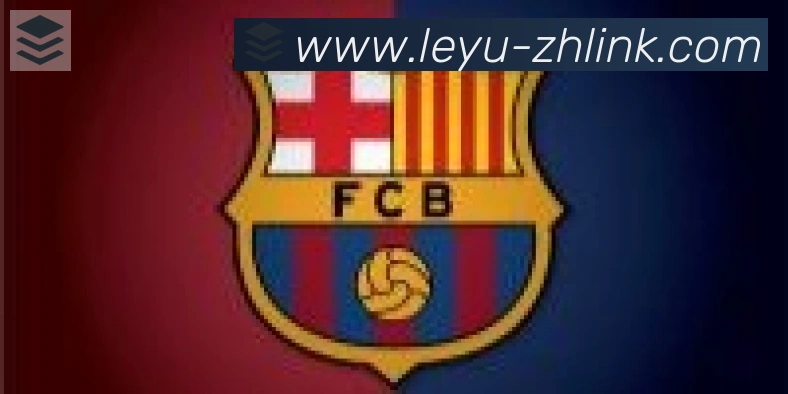 乐鱼leyu合作伙伴